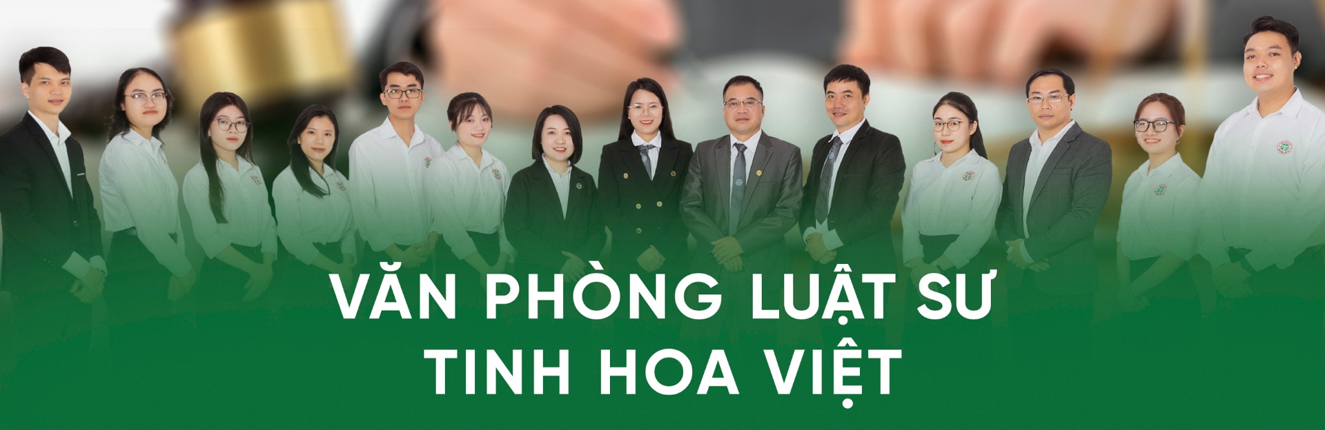 Đội ngũ Văn phòng Luật sư Tinh Hoa Việt
